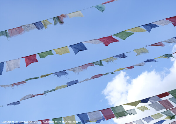 Tibetan prayer flags against the blue sky Picture Board by Lensw0rld 