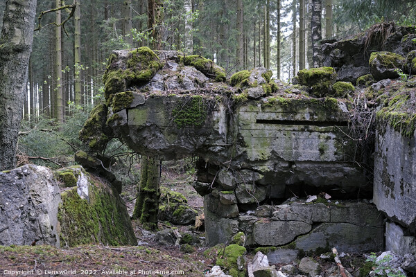 Remains of a bunker in the Hurtgen Forest in Germany Picture Board by Lensw0rld 
