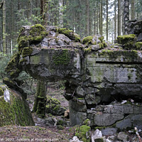 Buy canvas prints of Remains of a bunker in the Hurtgen Forest in Germany by Lensw0rld 