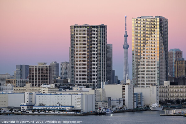 Tokyo sunset with Skytree Picture Board by Lensw0rld 