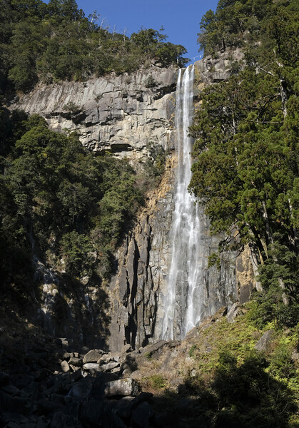 Nachi waterfall near Kii-Katsuura, Japan Picture Board by Lensw0rld 