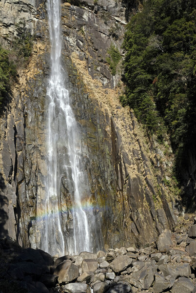 Nachi Waterfall near Kii-Katsuura in Japan Picture Board by Lensw0rld 