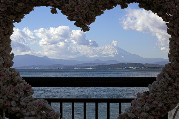 Mount Fuji seen through a heart-shaped frame with flowers Picture Board by Lensw0rld 