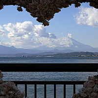 Buy canvas prints of Mount Fuji seen through a heart-shaped frame with flowers by Lensw0rld 