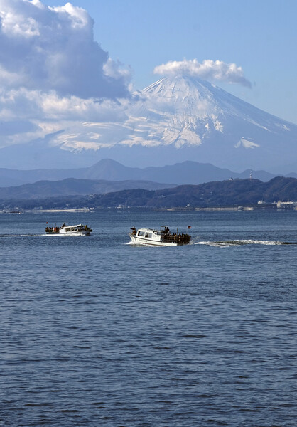 Ferry boats with Mount Fuji in the background Picture Board by Lensw0rld 