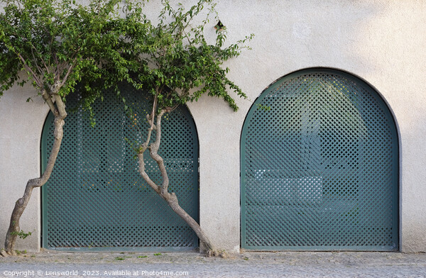 Two trees growing around an arch Picture Board by Lensw0rld 