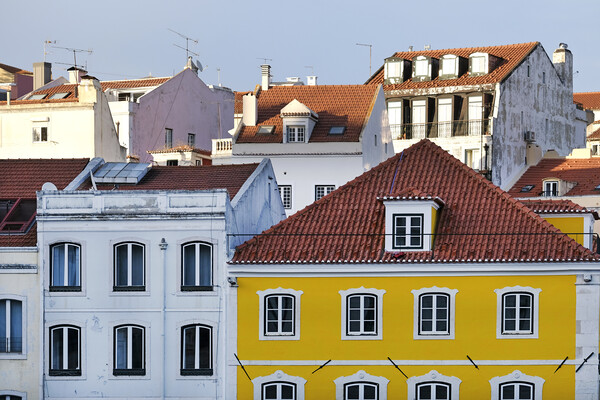 Buildings and roof tops in Lisbon Picture Board by Lensw0rld 