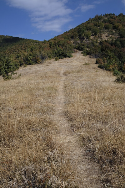 Hiking trails in the hills surrounding Matka Canyon Picture Board by Lensw0rld 