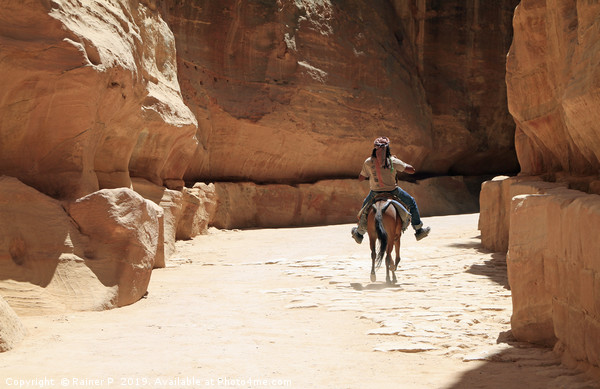 A Bedouin riding in the siq in Petra Picture Board by Lensw0rld 