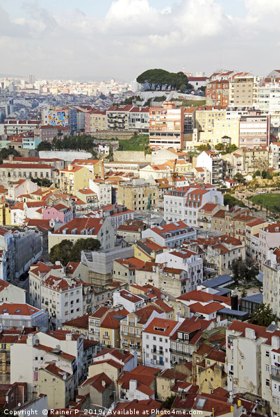 View over the beautiful roof tops in Lisbon Picture Board by Lensw0rld 