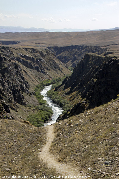 Trail turning into river - Black Canyon, Kazakhsta Picture Board by Lensw0rld 