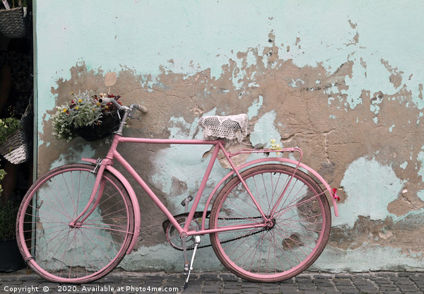 Pink bike in Rome, Italy Picture Board by Lensw0rld 