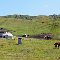 Buy canvas prints of Traditional yurt in the wide landscape of Central  by Lensw0rld 