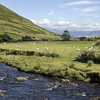 Buy canvas prints of Countryside near Dingle, Ireland by Lensw0rld 