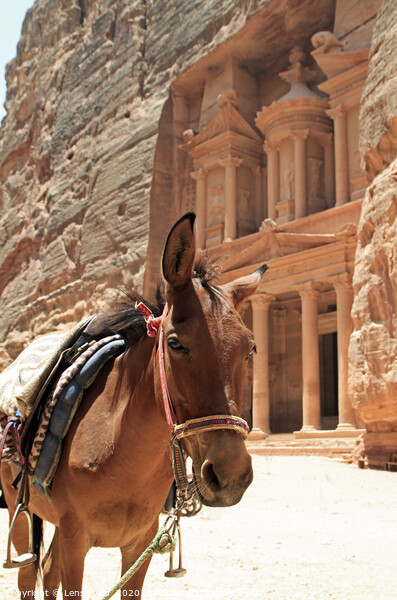 The impressive sight of the Treasury in Petra Picture Board by Lensw0rld 