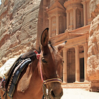 Buy canvas prints of The impressive sight of the Treasury in Petra by Lensw0rld 