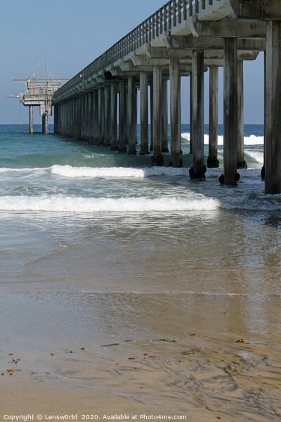 Pier at Scripps beach in San Diego Picture Board by Lensw0rld 