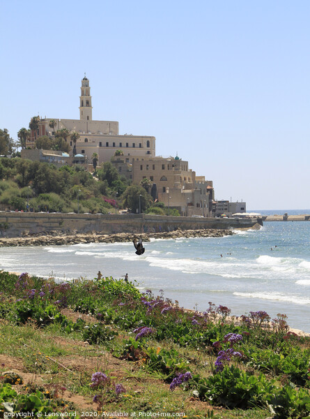 Jaffa, Israel, on a sunny day Picture Board by Lensw0rld 