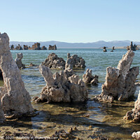 Buy canvas prints of Surreal landscape of Mono Lake, California by Lensw0rld 