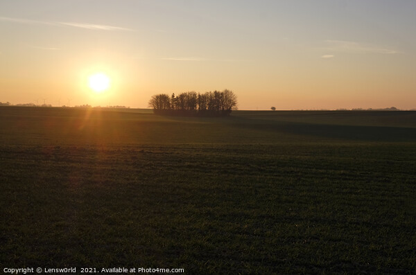 Sunset over a field with trees Picture Board by Lensw0rld 