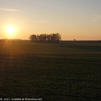 Buy canvas prints of Sunset over a field with trees by Lensw0rld 