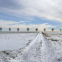 Buy canvas prints of Tranquil winter landscape with trees at the horizon by Lensw0rld 