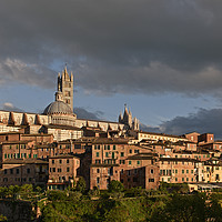 Buy canvas prints of Siena Duomo and Campanile by Harshil Shah