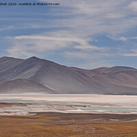 Buy canvas prints of Atacama Desert in the Altiplano of Northern Chile by Harshil Shah