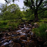 Buy canvas prints of Lake District stream running into Buttermere by Jules Taylor