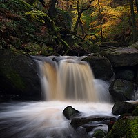 Buy canvas prints of Padley Gorge in Autumn, Peak District by Jules Taylor