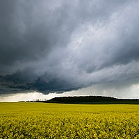 Buy canvas prints of Summer Storm by Jules Taylor