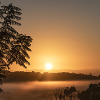 Buy canvas prints of Sunrise over Wollongbar by Paul W. Kerr