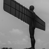 Buy canvas prints of The Angel of the North by David Wilson