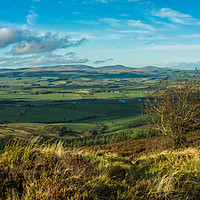 Buy canvas prints of The Coquet valley by David Wilson