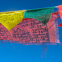 Buy canvas prints of Prayer Flags by Andrew McConochie