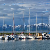 Buy canvas prints of Tromso port, Norway, sail boats by Sylvain Beauregard