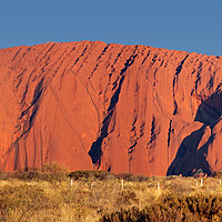 Buy canvas prints of Uluru, sacred site in Australia by Sylvain Beauregard