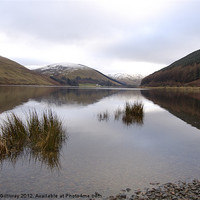 Buy canvas prints of St Mary's Loch by Iain McGillivray