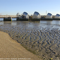 Buy canvas prints of Thames Barrier by Iain McGillivray