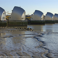 Buy canvas prints of Thames Barrier by Iain McGillivray
