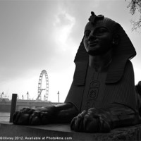 Buy canvas prints of Sphinx Statue by Iain McGillivray