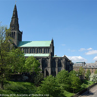 Buy canvas prints of Glasgow Cathedral by Iain McGillivray
