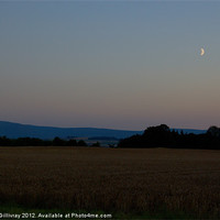 Buy canvas prints of Fields at Dusk by Iain McGillivray
