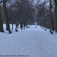 Buy canvas prints of Regent''s Park in Winter by Iain McGillivray