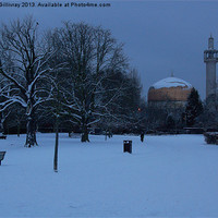 Buy canvas prints of Regents Park in Winter by Iain McGillivray