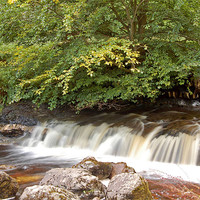 Buy canvas prints of Campsie Waterfall by Iain McGillivray