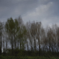 Buy canvas prints of Tree Reflection Art 1 by Iain McGillivray