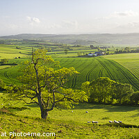 Buy canvas prints of Panoramic view from Peak Hill, near Sidmouth, Devo by Justin Foulkes