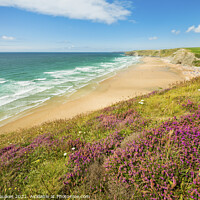 Buy canvas prints of Heather above Watergate Bay, Cornwall by Justin Foulkes