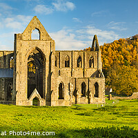 Buy canvas prints of Tintern Abbey panorama, Monmouthshire, Wales by Justin Foulkes
